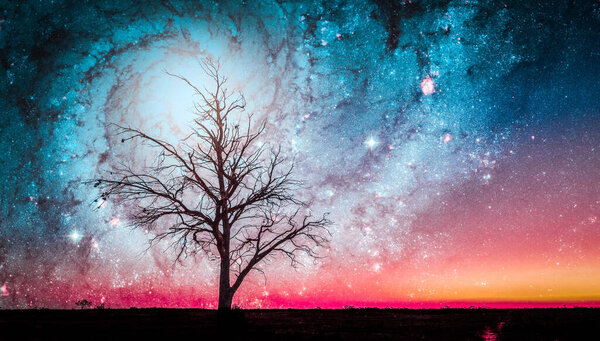 Lonely tree silhouette in alien world with bright galaxy vortex in the sky. Elements of this image are furnished by NASA