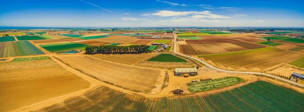 Aerial panorama of crop fields - straight rectangles with rural road on bright summer day