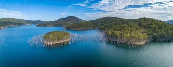 Panorama Aéreo Árboles Desnudos Creciendo Agua Montañas Advancetown Lake Queensland —  Fotos de Stock