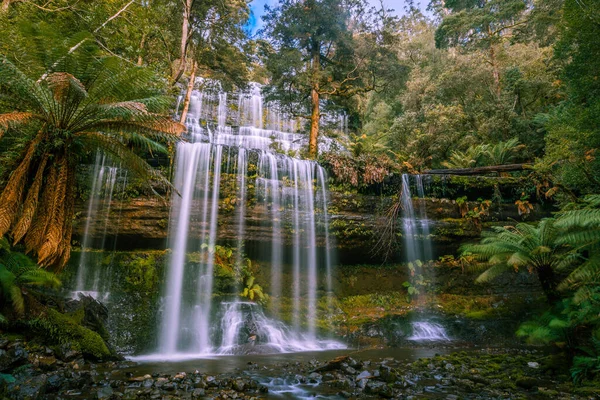 Park Narodowy Mount Field Tasmania Australia — Zdjęcie stockowe