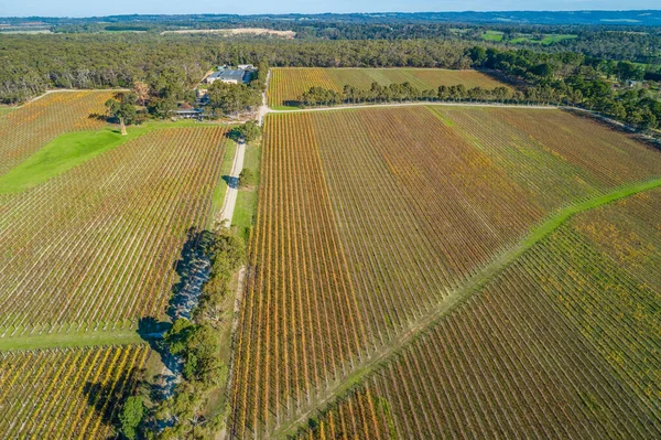 Paisaje Aéreo Muy Por Encima Los Grandes Viñedos Bosques Australia — Foto de Stock