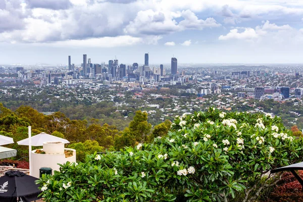 Brisbane Cbd Skyline Visto Partir Monte Coot Tha Vigia — Fotografia de Stock