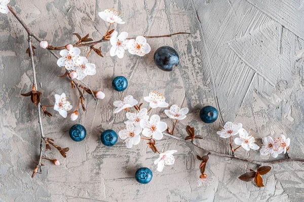 Vacker Sakura Blomma Med Blåbär Betong Ovanifrån — Stockfoto