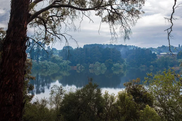 Tranquil Daylesford Tavaszi Eső Után Ausztrália — Stock Fotó