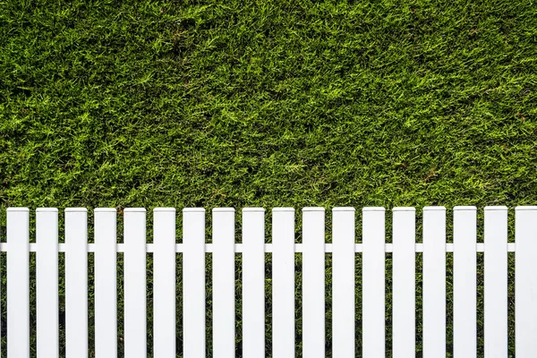 Hvitt Gjerde Grønn Hekkbakgrunn Med Kopiplass – stockfoto