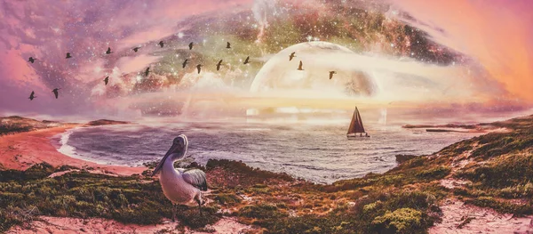 Sailboat Ocean Pelican Shore Alien Planet Horizon Sunset Fantasy Landscape Stock Picture