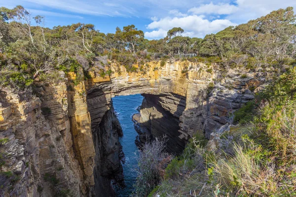 Tasman Arch Tasman National Park Tasmania Australia Stok Gambar Bebas Royalti