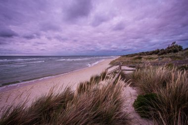 Mornington Yarımadası 'nda, Victoria, Avustralya' da, dramatik gökyüzünün altında yürüyen insanlar.