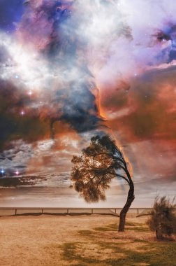 Güçlü rüzgârda bükülen yalnız ağaçlı ve gökyüzünde parlak galaksisi olan uzaylı manzarası. Bu görüntünün elementleri NASA tarafından döşenmiştir.