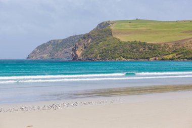 Cape Bridgewater güzel okyanus plajı ve engebeli uçurumlar, Victoria, Avustralya
