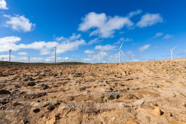 Richmond, Avustralya 'daki rüzgar çiftliği yenilenebilir enerji üretiyor