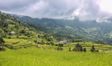 Nepal Katmandu Vadisi 'ndeki pirinç teraslarının manzarası