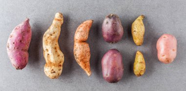 Taş yüzeyinde farklı patates türleri yatıyordu..