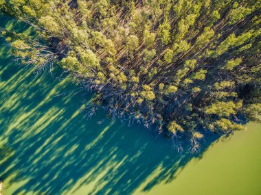 Gün batımında ağaçlar ve nehir uzun gölgeli - hava manzaralı