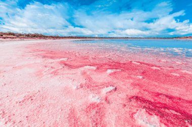 Güzel pembe gölün kıyılarında canlı kırmızı tuz birikintileri