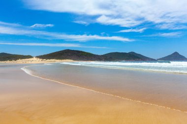 Fingal Adası, Fingal Körfezi, Yeni Güney Galler, Avustralya kıyılarından okyanus dalgaları geliyor.