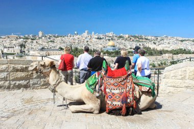 Kudüs 'te Kubbe of the Rock' a bakan turistler ön planda zarif bir şekilde deveyle yatıyorlar.