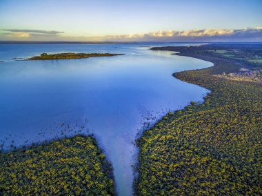 Alacakaranlıkta okyanus kıyısında büyüyen mangrov ağaçlarının havadan görünüşü. Melbourne, Avustralya