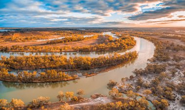 Gün batımında Murray River 'ın güzel kıvrımları. Riverland, Güney Avustralya
