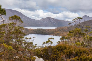Cradle Mountain Ulusal Parkı 'ndaki Wombat havuzu ve Dove Gölü, Tazmanya, Avustralya