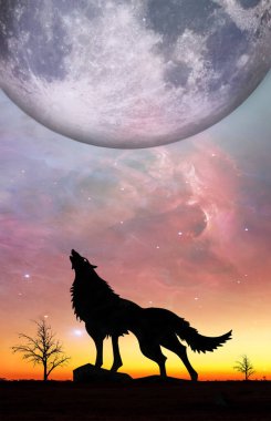 Kitap kapağı için fantezi manzarası. Uluyan kurt silueti. Gerçek dışı gökyüzünde yükselen kocaman bir gezegen. Bu görüntünün elementleri NASA tarafından desteklenmektedir