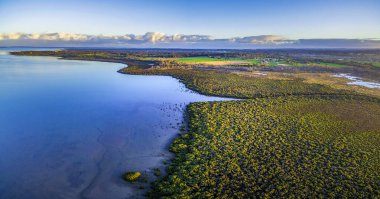 Alacakaranlıkta okyanus kıyısında büyüyen mangrovlardan oluşan hava manzarası. Melbourne, Avustralya