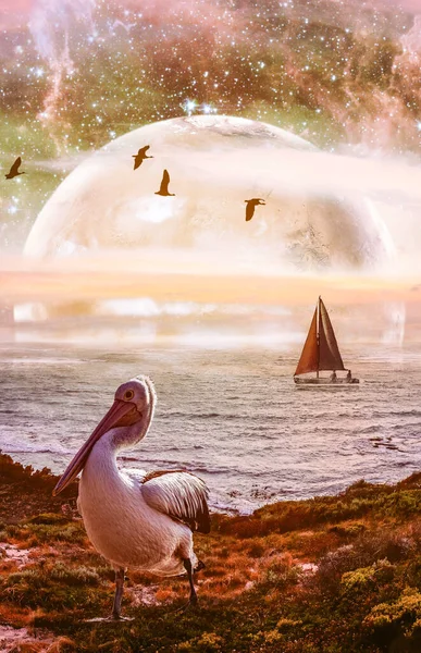 Fiction book cover design template. Sailboat in the ocean with pelican on shore and alien planet on the horizon. Elements of this image are furnished by NASA
