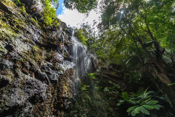 Kijkend Naar Prachtige Waterval Die Van Rotsen Jungle Valt — Stockfoto