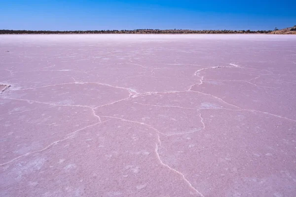 Salt patterns on the surface of pink lake Crosbie in Murray-Sunset National Park, Australia