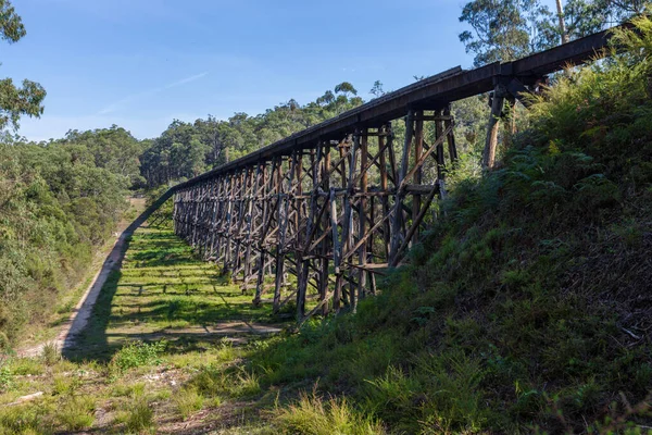 Starodawny Most Trestle Stony Creek Most Kolejowy Victoria Australia — Zdjęcie stockowe