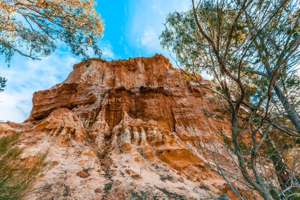 Erodierende Sandsteinklippen Ufer Des Murray River Südaustralien — Stockfoto