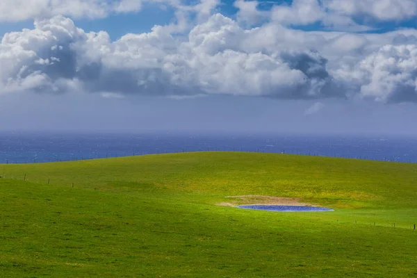 Minimalistisch Landschappelijk Landschap Groen Gras Blauw Water Witte Pluizige Wolken — Stockfoto