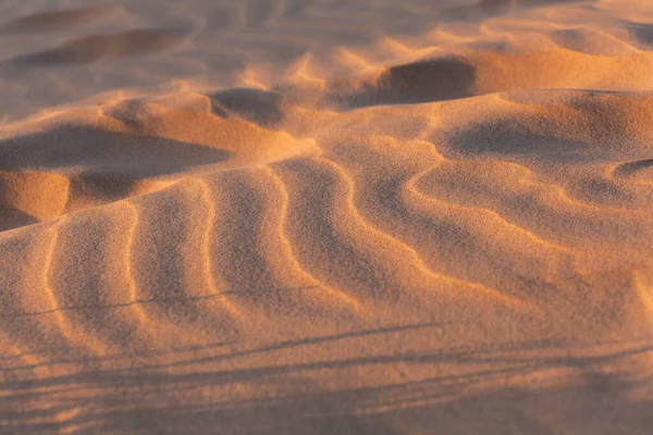 Vindvågor Fladdrar Sand Vid Solnedgången Med Långa Skuggor — Stockfoto
