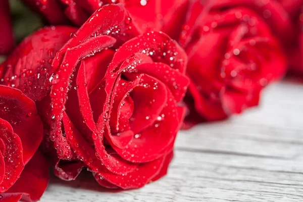 Czerwona Róża Kropelkami Wody Ekstremalne Zbliżenie Płytka Głębia Ostrości — Zdjęcie stockowe