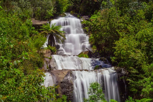 Schöne Schwächere Wasserfälle Australischen Urwald Kiewa Valley Victoria Australien — Stockfoto