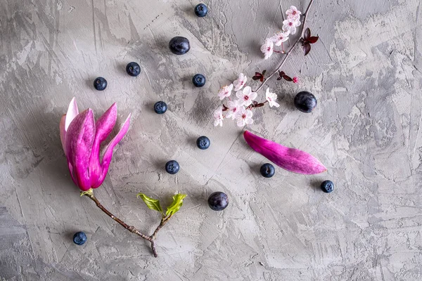 Urban spring concept - blooming magnolia and plum cherry flowers with blueberries and grapes on concrete