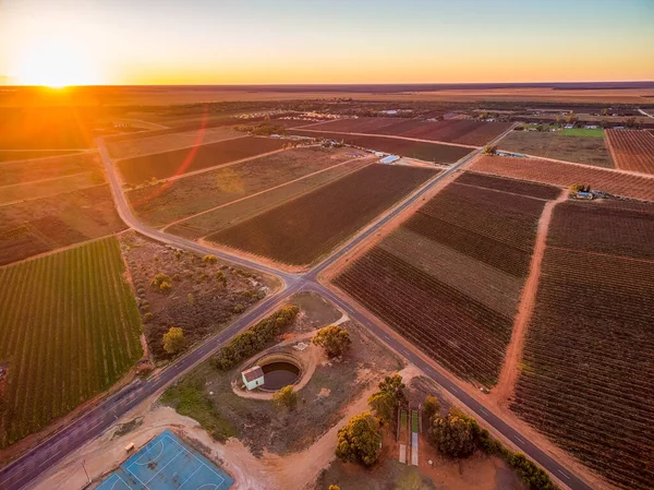 Matahari Terbenam Dengan Suar Matahari Daerah Pertanian Riverland Australia Selatan — Stok Foto