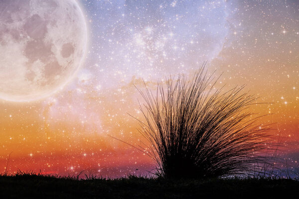 Alien landscape of beach grass flexing in the wind at sunset with galaxy stars and huge planet in the sky. Elements of this image are furnished by NASA