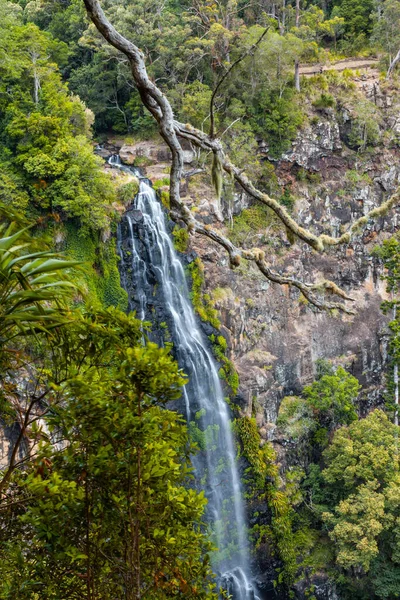 Morans Falls Krásný Vysoký Vodopád Národním Parku Lamington Queensland Austrálie — Stock fotografie