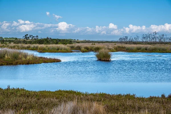 Native Australian Coastal Wetlands Landscape — Stock Photo, Image