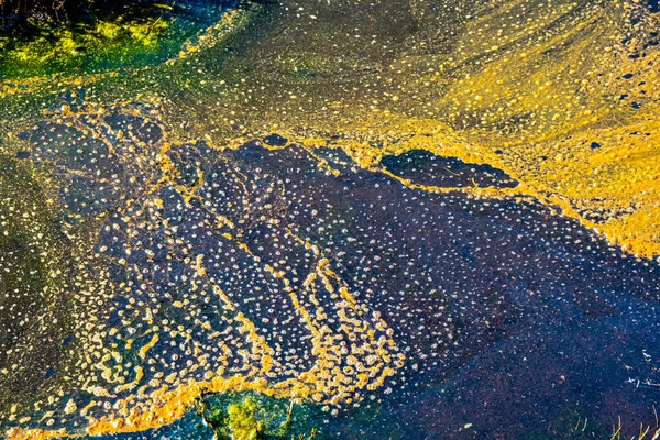 Tekstur Warna Warni Abstrak Dari Air Rawa — Stok Foto