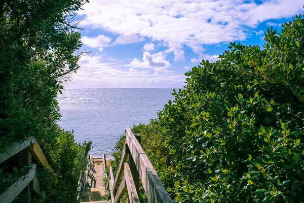 Drewniane Schody Prowadzące Plaży Morskiej Wśród Zielonych Krzewów Australii — Zdjęcie stockowe