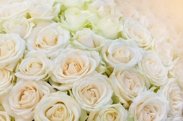 Bouquet de roses blanches — Photo