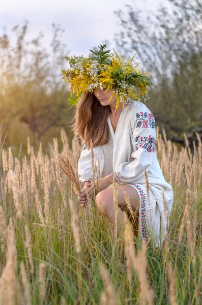 Mulher bonita nova em uma grinalda de flores silvestres e roupas nacionais antigas reúne espiguetas em um prado de grama seca amarela . — Fotografia de Stock