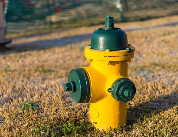 Színes Sárga Zöld Tűz Hydrant Szállítására Használt Nagy Mennyiségű Víz — Stock Fotó