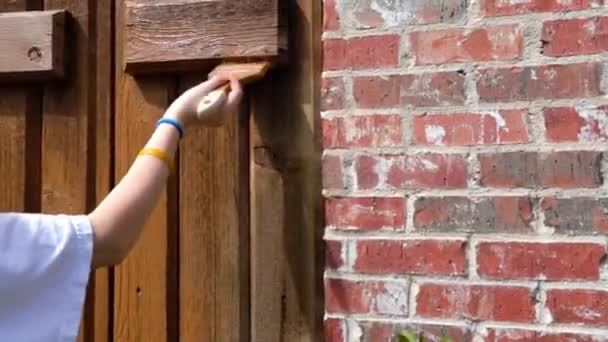 Person streicht Fensterläden am Haus — Stockvideo