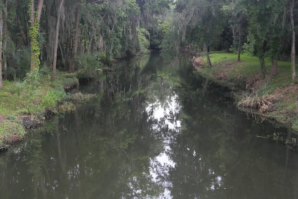 Florida Wetlands Stream Moss Hanging Trees Banks — Stock Photo, Image