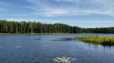 Duck Dağı İl Parkı 'ndaki Hickey Gölü' nde Zaman Geçidi. Manitoba. Rüzgâr. Yaz. İyi günler. Ağustos. 2019.