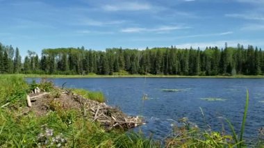 Hickey Gölü Kunduz Barajı güneşli bir günde Duck Dağı İl Parkı, Manitoba, Kanada