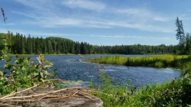 Hickey Gölü 'nde rüzgarlı bir yaz günü, Duck Dağı İl Parkı, Manitoba Kanada